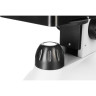 Микроскоп LEVENHUK DISCOVERY NANO POLAR с книгой 77968